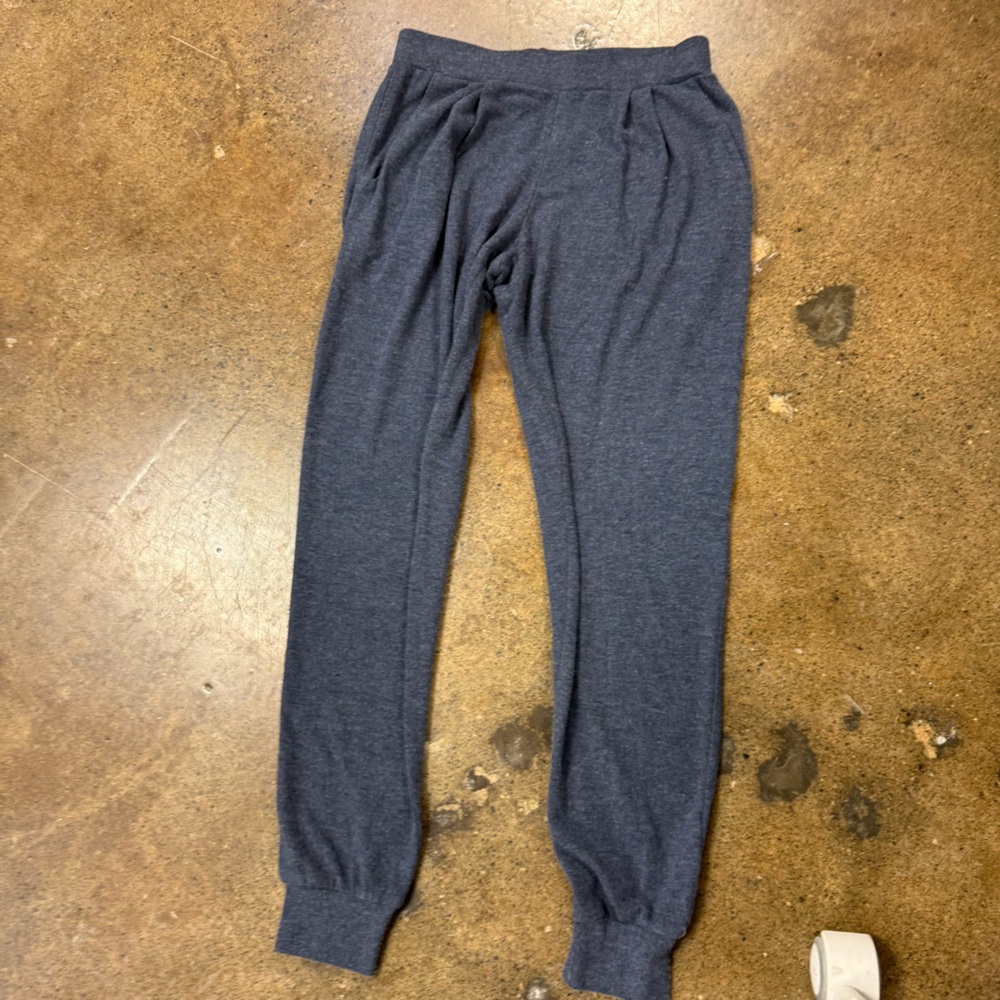 Velvet by Graham & Spencer Blue Joggers